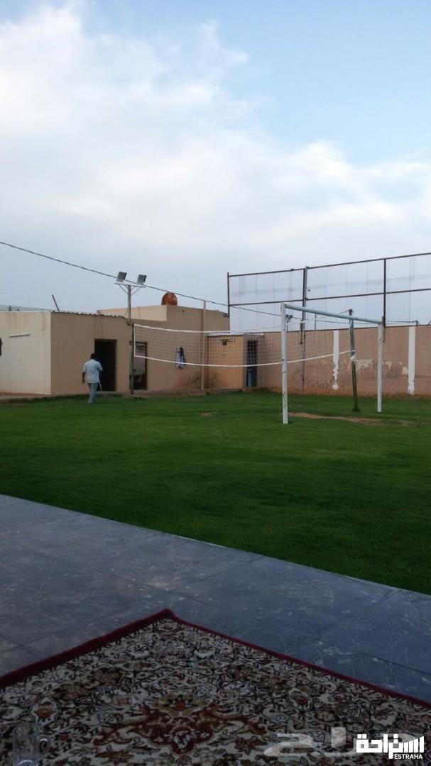 استراحة نجم سهيل